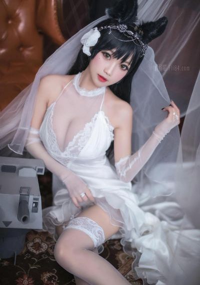 免费观看电视在线高清第一集