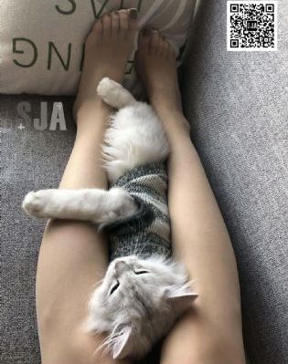 漫画免费在线观看完整漫画入口