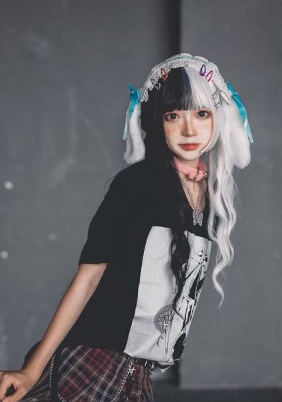 双凤奇案