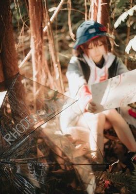 金刚免费高清在线观看完整版