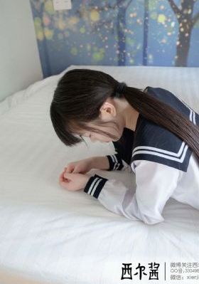 大理寺日志