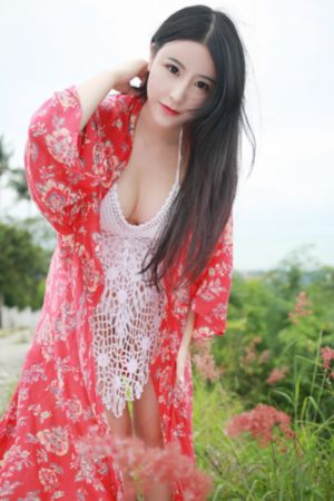 一代匠师 电视剧