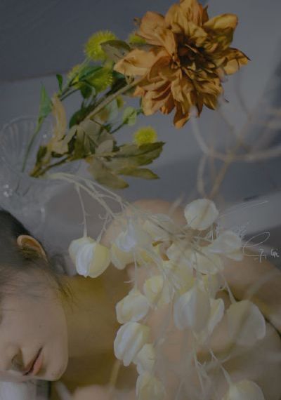 嗜血破晓