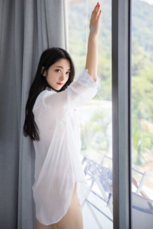 谜证电视剧免费观看全集完整版