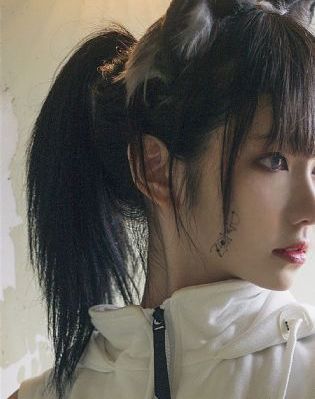王者荣耀女英雄被c