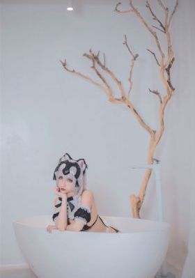 三妻四妾